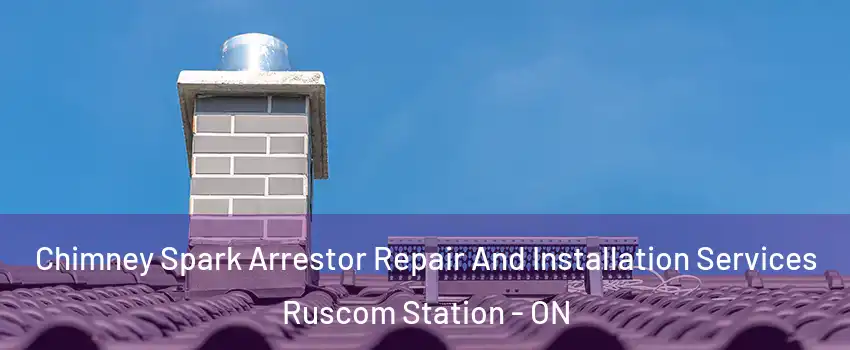  Chimney Spark Arrestor Repair And Installation Services Ruscom Station - ON