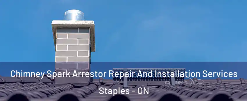  Chimney Spark Arrestor Repair And Installation Services Staples - ON