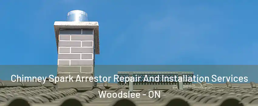  Chimney Spark Arrestor Repair And Installation Services Woodslee - ON