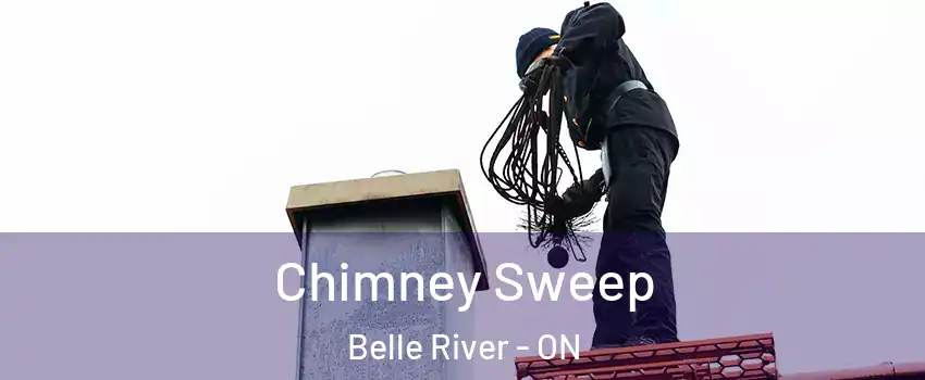  Chimney Sweep Belle River - ON