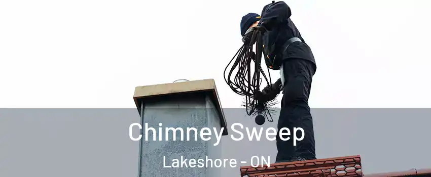  Chimney Sweep Lakeshore - ON