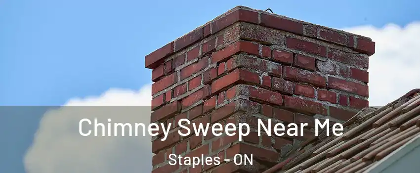  Chimney Sweep Near Me Staples - ON