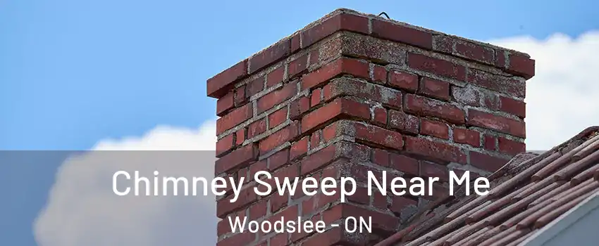  Chimney Sweep Near Me Woodslee - ON