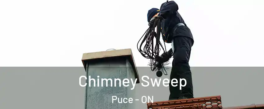  Chimney Sweep Puce - ON