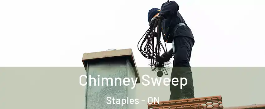  Chimney Sweep Staples - ON
