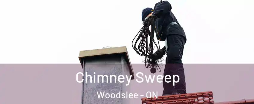  Chimney Sweep Woodslee - ON