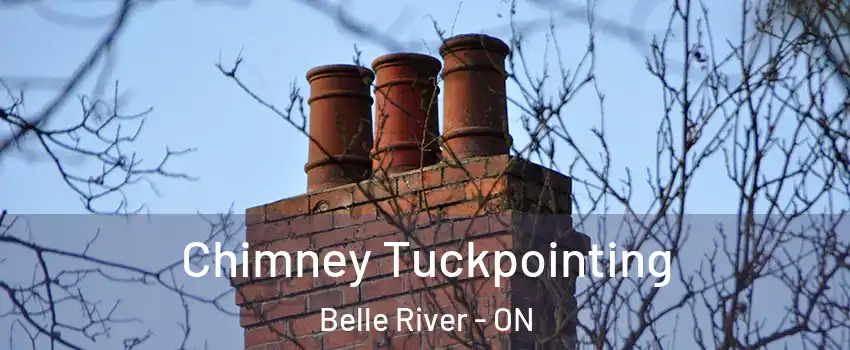  Chimney Tuckpointing Belle River - ON
