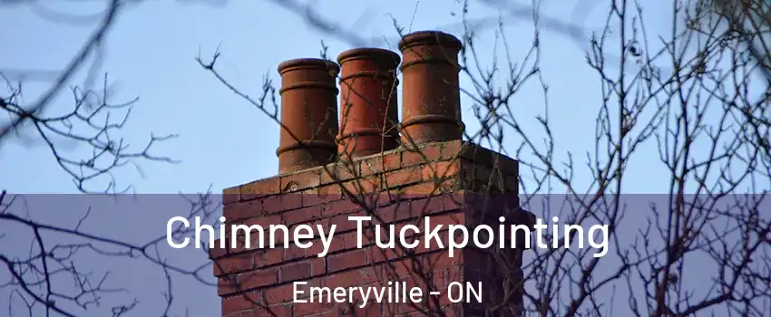 Chimney Tuckpointing Emeryville - ON