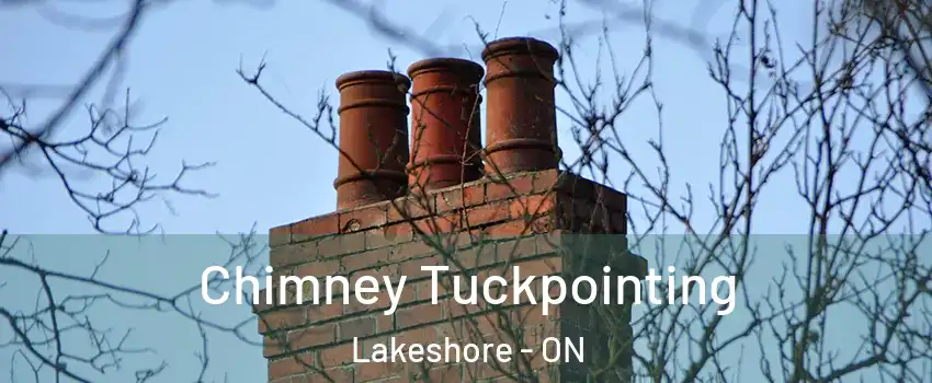  Chimney Tuckpointing Lakeshore - ON