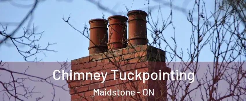  Chimney Tuckpointing Maidstone - ON