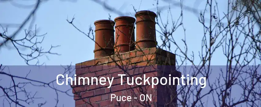  Chimney Tuckpointing Puce - ON
