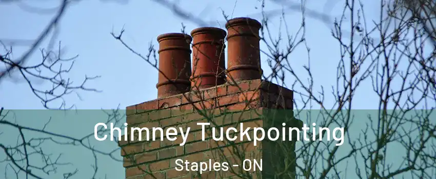  Chimney Tuckpointing Staples - ON
