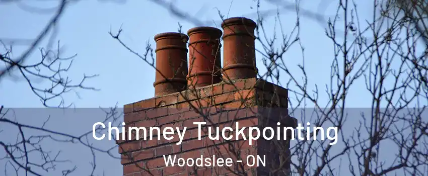  Chimney Tuckpointing Woodslee - ON