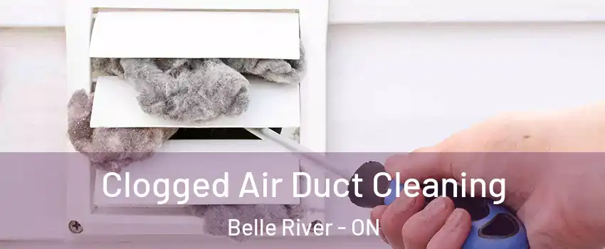  Clogged Air Duct Cleaning Belle River - ON