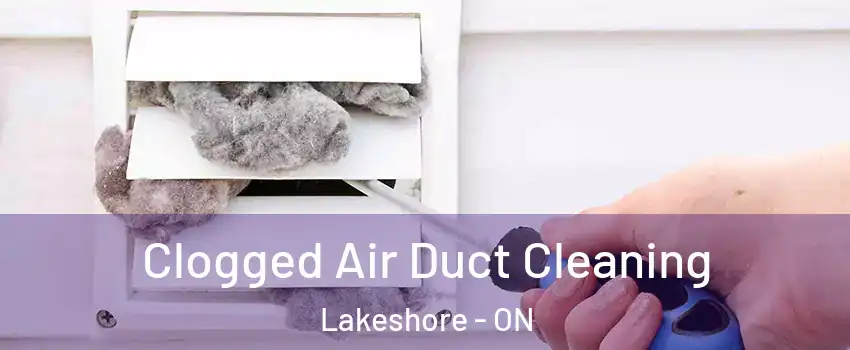  Clogged Air Duct Cleaning Lakeshore - ON