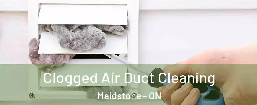  Clogged Air Duct Cleaning Maidstone - ON