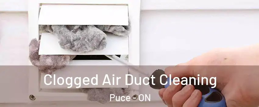  Clogged Air Duct Cleaning Puce - ON