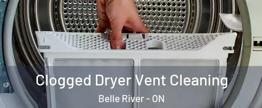  Clogged Dryer Vent Cleaning Belle River - ON