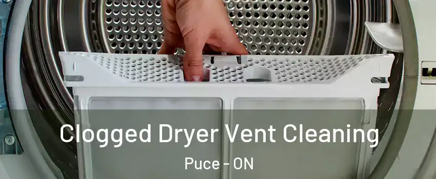  Clogged Dryer Vent Cleaning Puce - ON