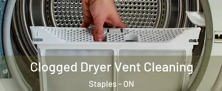  Clogged Dryer Vent Cleaning Staples - ON