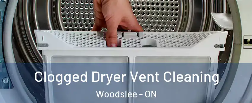  Clogged Dryer Vent Cleaning Woodslee - ON
