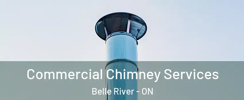  Commercial Chimney Services Belle River - ON