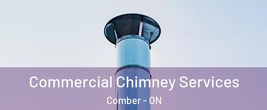  Commercial Chimney Services Comber - ON