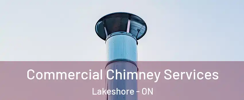  Commercial Chimney Services Lakeshore - ON