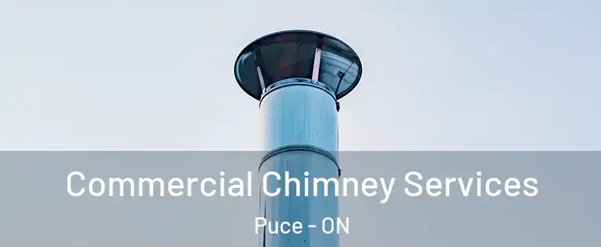  Commercial Chimney Services Puce - ON