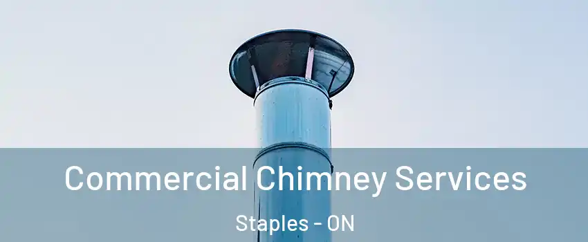  Commercial Chimney Services Staples - ON
