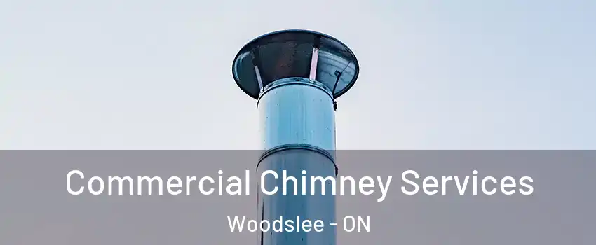  Commercial Chimney Services Woodslee - ON