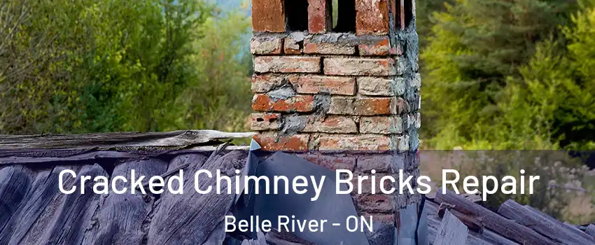  Cracked Chimney Bricks Repair Belle River - ON