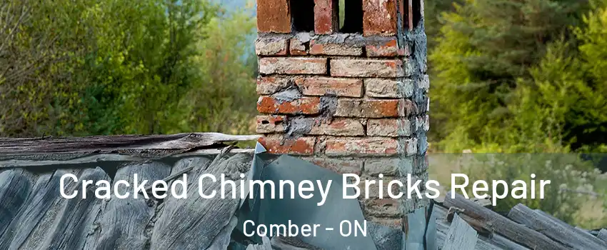  Cracked Chimney Bricks Repair Comber - ON