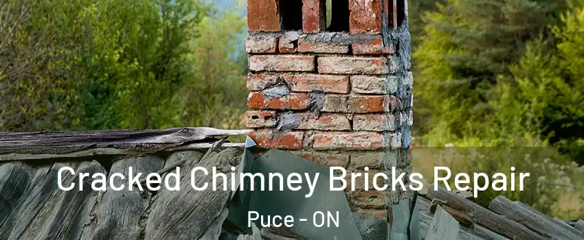  Cracked Chimney Bricks Repair Puce - ON