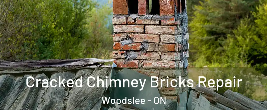  Cracked Chimney Bricks Repair Woodslee - ON
