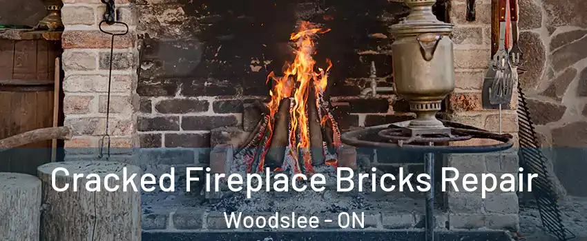  Cracked Fireplace Bricks Repair Woodslee - ON