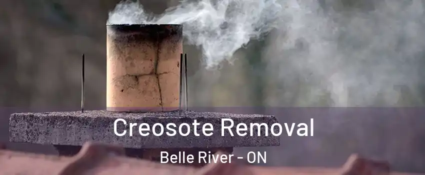  Creosote Removal Belle River - ON