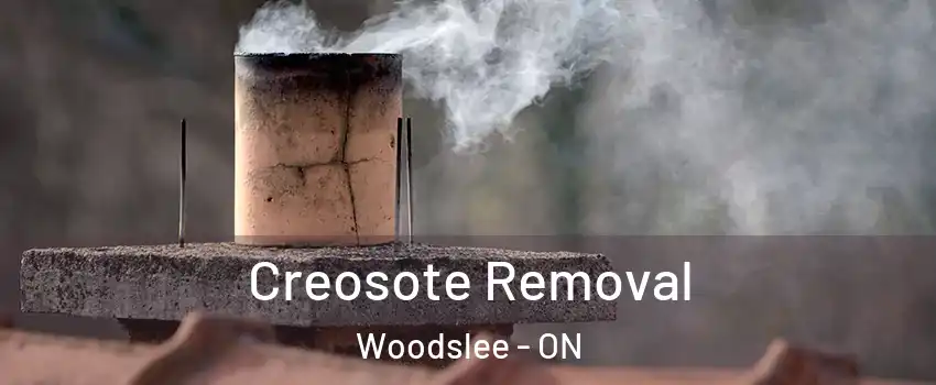  Creosote Removal Woodslee - ON