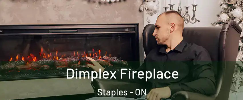  Dimplex Fireplace Staples - ON