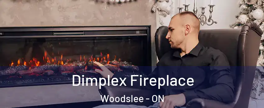  Dimplex Fireplace Woodslee - ON