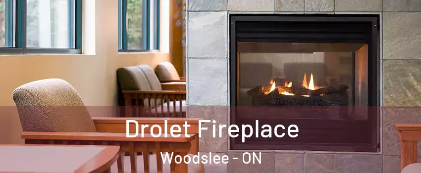  Drolet Fireplace Woodslee - ON