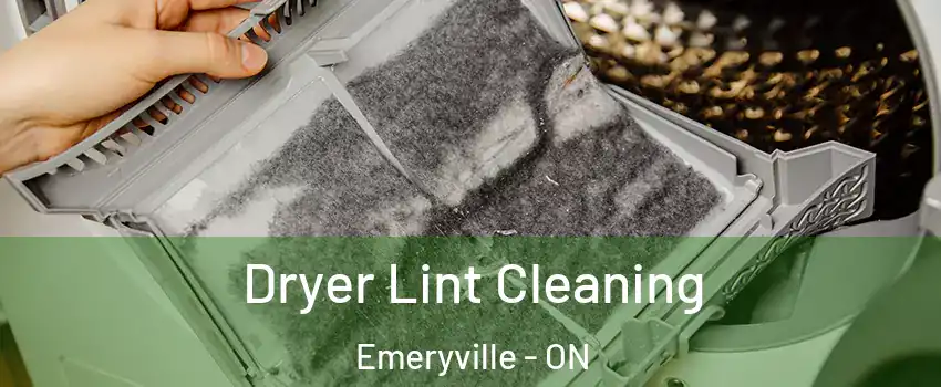  Dryer Lint Cleaning Emeryville - ON