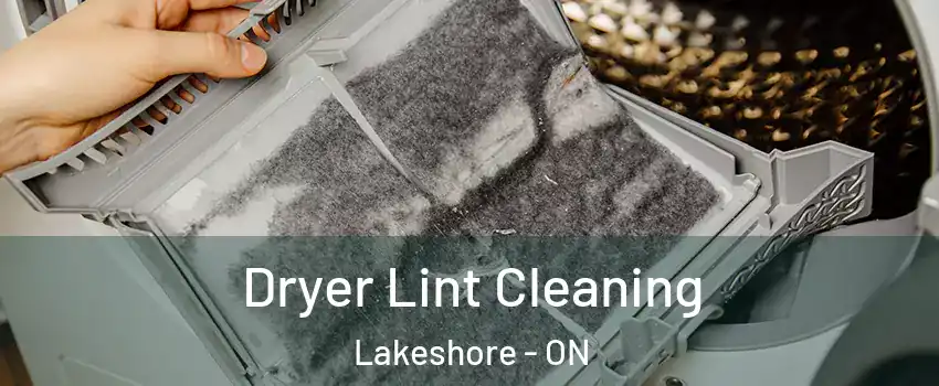  Dryer Lint Cleaning Lakeshore - ON