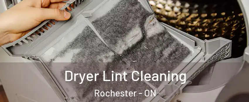  Dryer Lint Cleaning Rochester - ON