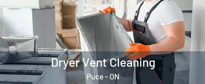  Dryer Vent Cleaning Puce - ON