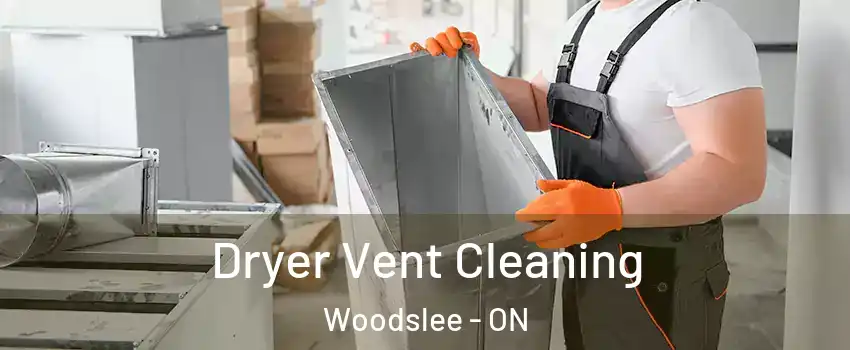 Dryer Vent Cleaning Woodslee - ON