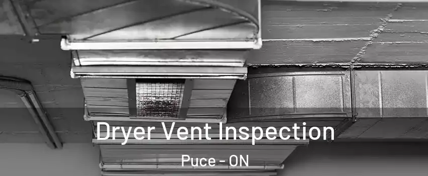  Dryer Vent Inspection Puce - ON