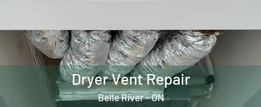  Dryer Vent Repair Belle River - ON