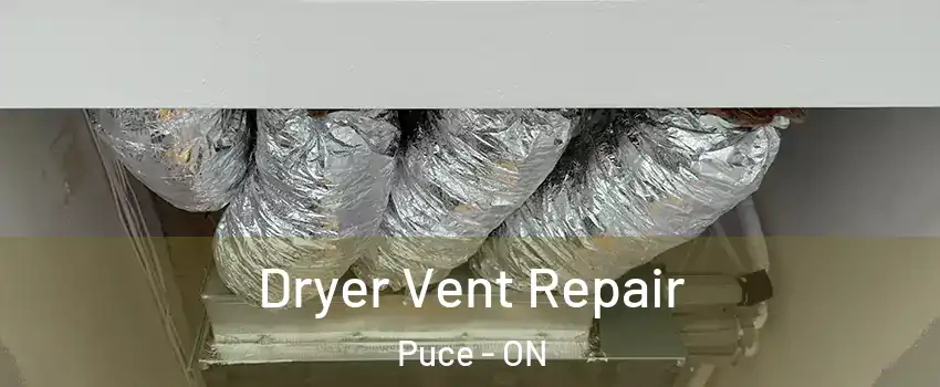  Dryer Vent Repair Puce - ON