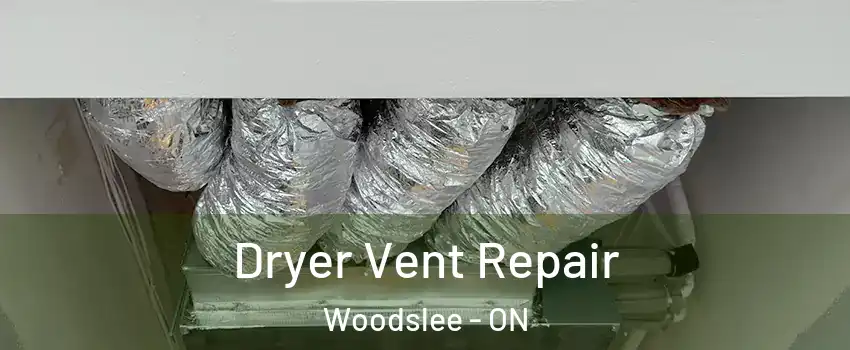  Dryer Vent Repair Woodslee - ON